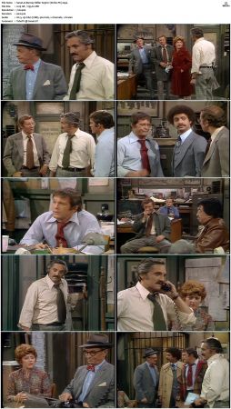 Barney Miller S03 DVDRip x264-NGP