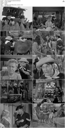 F Troop S01 DVDRip XviD-cOOt