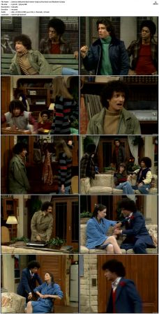 Welcome Back Kotter S03 DVDRip x264-NGP