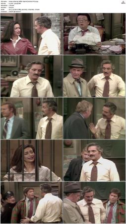 Barney Miller S04 DVDRip x264-NGP