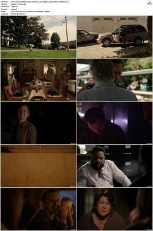 Sneaky Pete S03 NORDiC 720p WEB-DL H 265 DDP5 1-CiNEMiX
