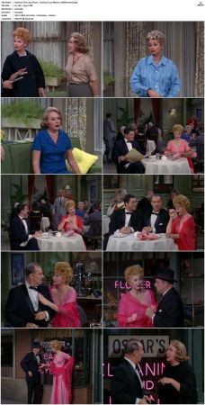 The Lucy Show S02 DVDRip x264-NGP