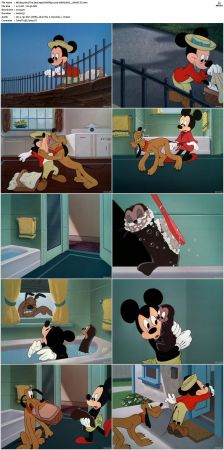 Mickey And The Seal 1948 DVDRip x264-HANDJOB