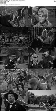F-Troop S01 DVDRip XviD-cOOt
