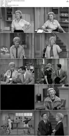The Lucy Show S01 DVDRip x264-NGP