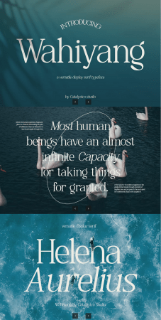 EE - Wahiyang Display Serif Font CGPJAV5