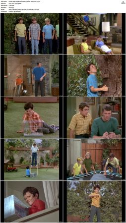 The Brady Bunch S02 DVDRip x264-NGP
