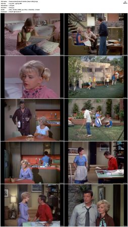 The Brady Bunch S01 DVDRip x264-NGP