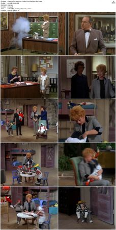The Lucy Show S05 DVDRip x264-NGP