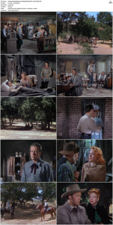 Renegades 1946 1080p BluRay HEVC x265-SUP3R