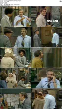 Barney Miller S04 DVDRip x264-NGP