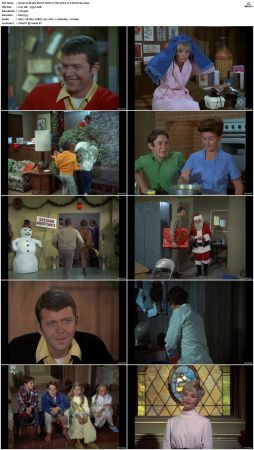 The Brady Bunch S01 DVDRip x264-NGP