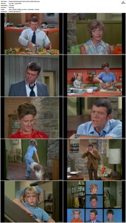 The Brady Bunch S02 DVDRip x264-NGP