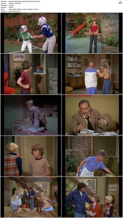 The Brady Bunch S05 DVDRip x264-NGP