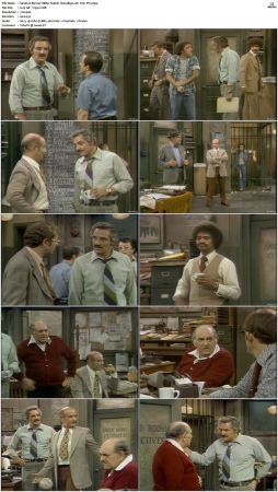 Barney Miller S04 DVDRip x264-NGP