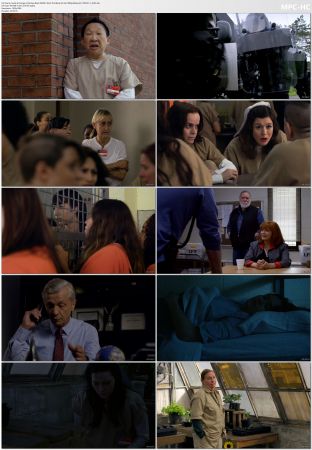 Orange Is The New Black S04 1080p BluRay AV1 OPUS 5 1-GHD