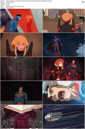My Adventures with Superman S02 1080p WEBRip x265-DH