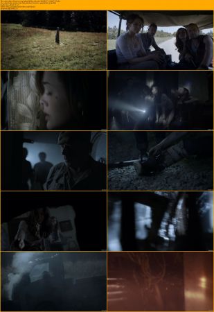 Leprechaun Collection 1080p BRRip x264 AC3 DiVERSiTY