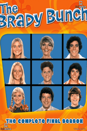 The Brady Bunch S05 DVDRip x264-NGP
