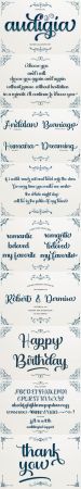 Audigia - Modern Calligraphy Script Font