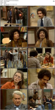 Welcome Back Kotter S02 DVDRip x264-NGP
