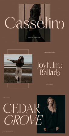 EE - Casselin Modern Serif Font NRDK4JR
