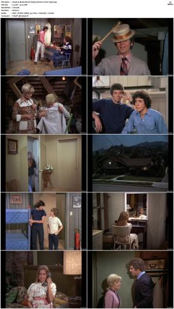 The Brady Bunch S04 DVDRip x264-NGP