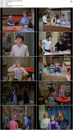 The Brady Bunch S03 DVDRip x264-NGP