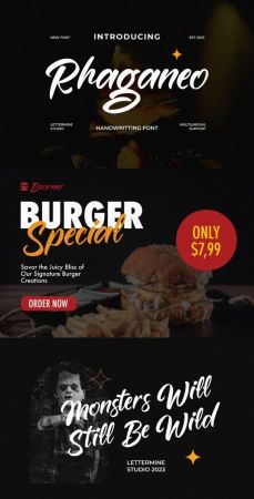 CM - Rhaganeo - Elegant Handwritten Font 42263116