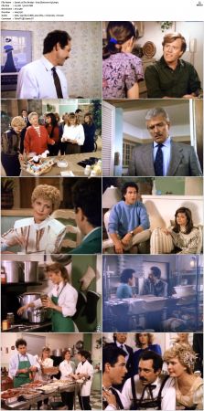 The Bradys S01 DVDRip x264-NGP