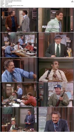 Barney Miller S02 DVDRip x265-NGP