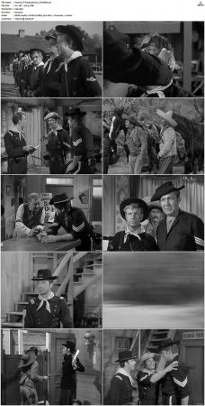 F-Troop S01 DVDRip XviD-cOOt