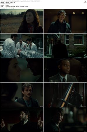 Hannibal S01 1080p BluRay Dts-HDMa5 1 AVC-PiR8