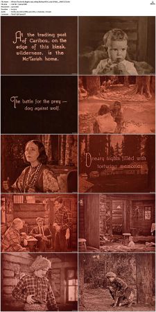 Where The North Begins 1923 1080p BluRay HEVC x265-SUP3R