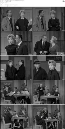 The Lucy Show S01 DVDRip x264-NGP