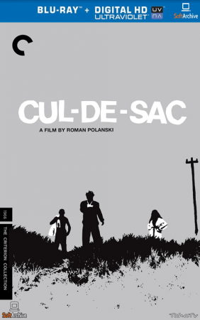 Cul-De-Sac 1966 1080p BluRay HEVC x265-SUP3R