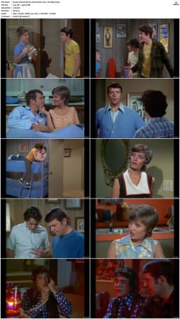 The Brady Bunch S02 DVDRip x264-NGP