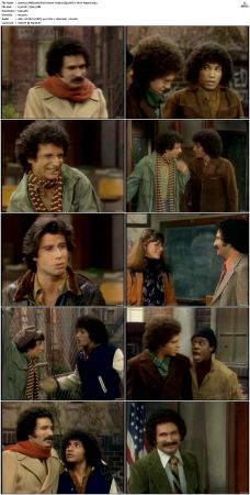 Welcome Back Kotter S03 DVDRip x264-NGP
