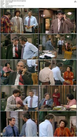 Barney Miller S03 DVDRip x264-NGP