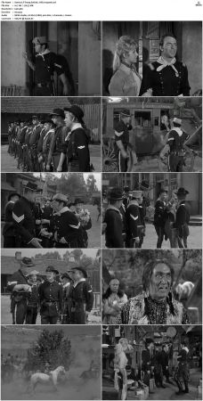F-Troop S01 DVDRip XviD-cOOt