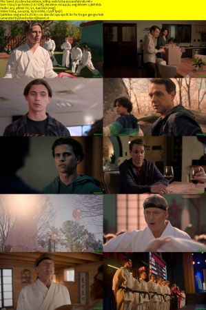 Cobra Kai S06 Part 1 1080p WEB H264-SuccessfulCrab