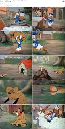 Donalds Dog Laundry 1940 DVDRip x264-HANDJOB