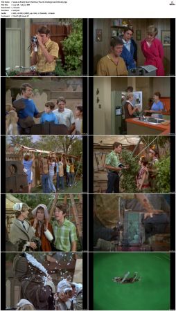 The Brady Bunch S02 DVDRip x264-NGP
