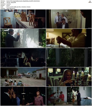 The Long Goodbye 1973 KL 1080p BluRay x265 DDP2.0-B3YG1R