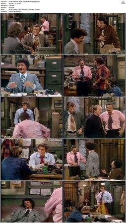 Barney Miller S03 DVDRip x264-NGP