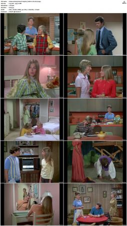 The Brady Bunch S03 DVDRip x264-NGP