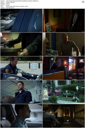 Sneaky Pete S02 NORDiC 720p WEB-DL H 265 DDP5 1-CiNEMiX