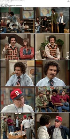 Welcome Back Kotter S02 DVDRip x264-NGP
