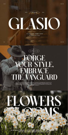 EE - Glasio Elegant Serif Font Typeface Q4VQ7SG