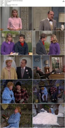 The Lucy Show S02 DVDRip x264-NGP